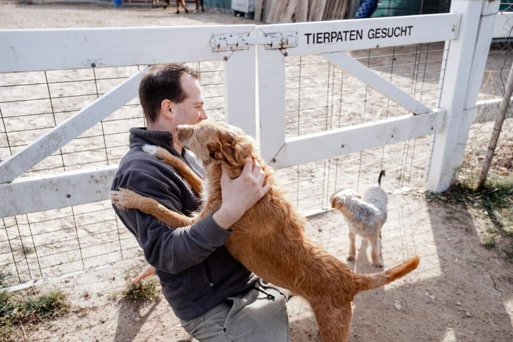 Mann umarmt einen Hund vor einem Tor mit dem Schild Tierpaten gesucht auf dem Gnadenhof Papillon