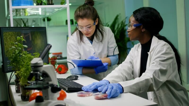 In Vitro Fleisch Laborfleisch vegan plantbased Forschung Labor