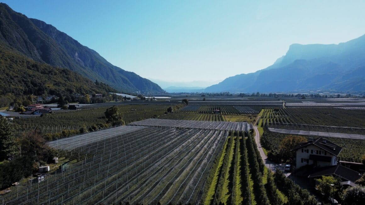 Veganer Landwirtschaftsbereich mit nachhaltigem Anbau inmitten von Bergen.