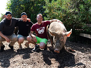 Drei Männer sitzen in der Hocke neben einem Schwein