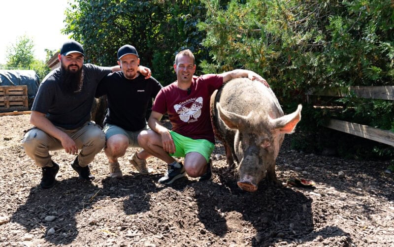 Drei Männer sitzen in der Hocke neben einem Schwein