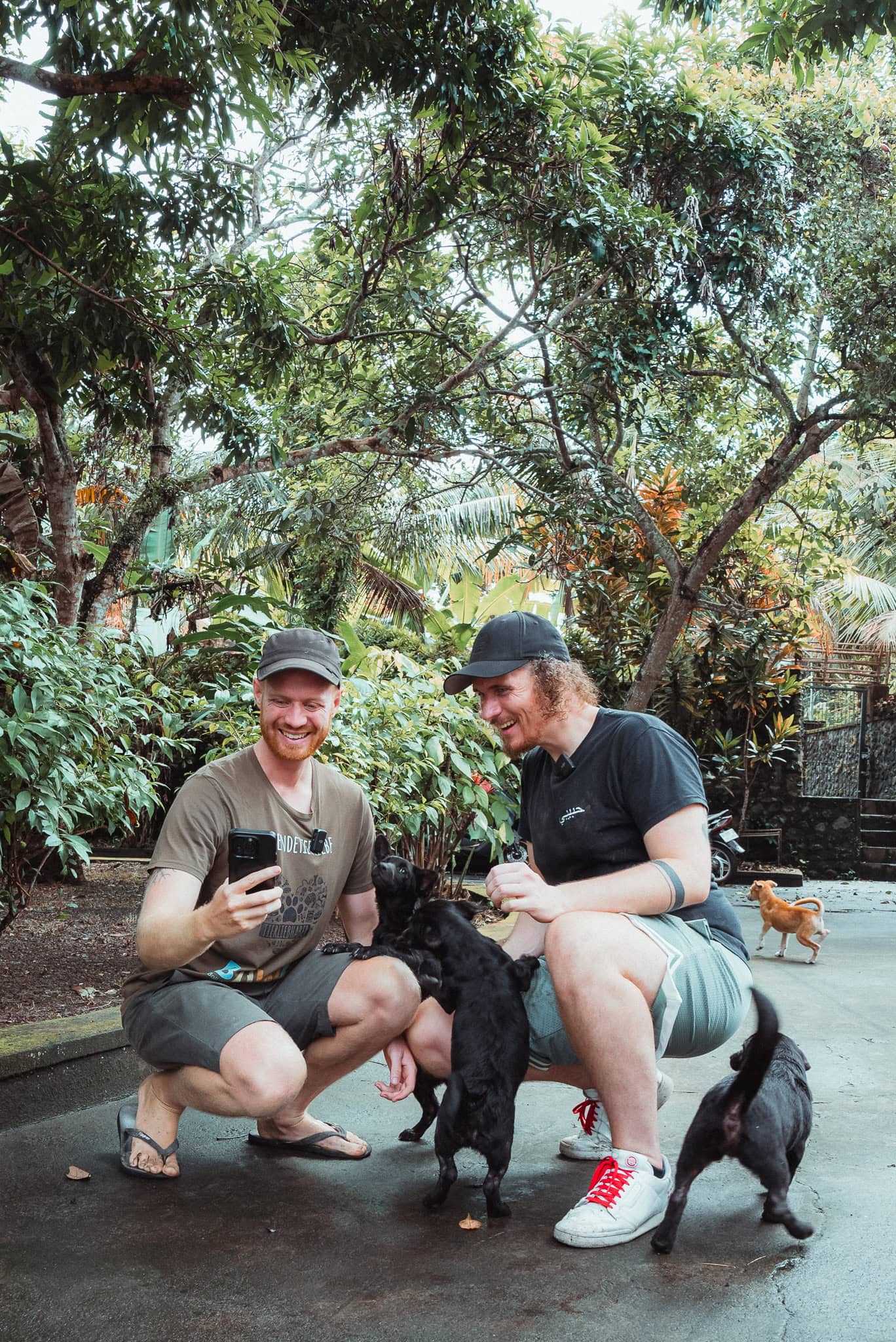 Manuel Bergmann und Yannick mit Straßenhunden auf Bali