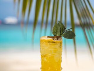 Passion Mint Cooler - der perfekte Mocktail für deinen Try January, komplett vegan und lecker!