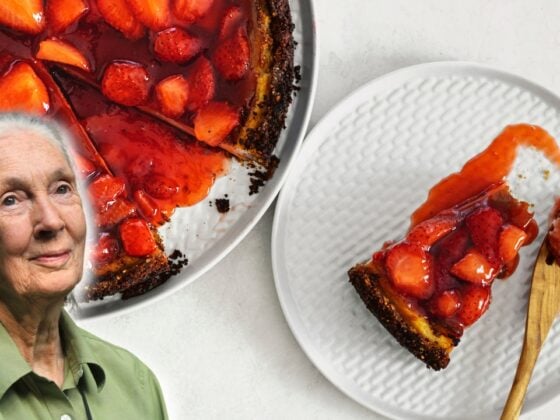 Dr. Jane Goodall verrät ihr Lieblingsrezept - Strawberry Cheesecake - natürlich vegan!