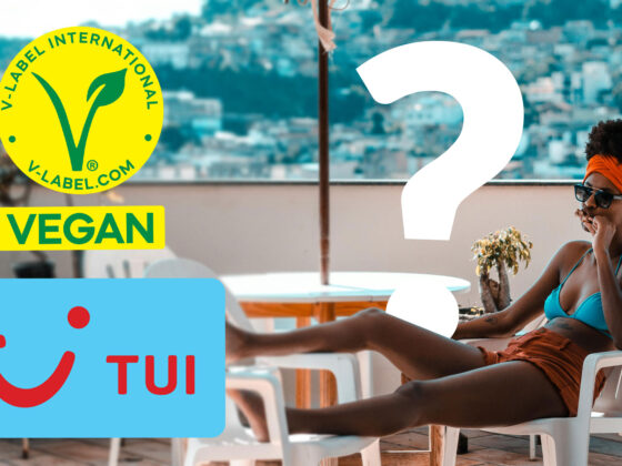 Das Marktforschungsinstitut Appinio und TUI haben 2.000 Deutsche zu ihren Reisegewohnheiten befragt.