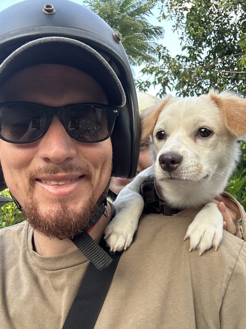 Unser adoptierter Tierschutz-Hund Suki bei einer Roller-Fahrt durch Bali