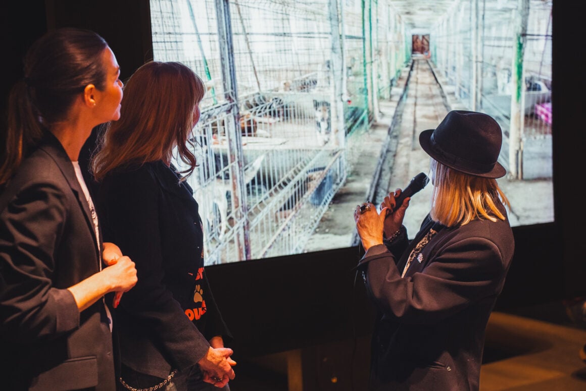 Daniela Brunner (links), Andrea Sawatzki und Patricia Riekel auf der Bühne, im Hintergrund ein großen Screen mit geretteten Straßenhunden von NaTiNo e.V.