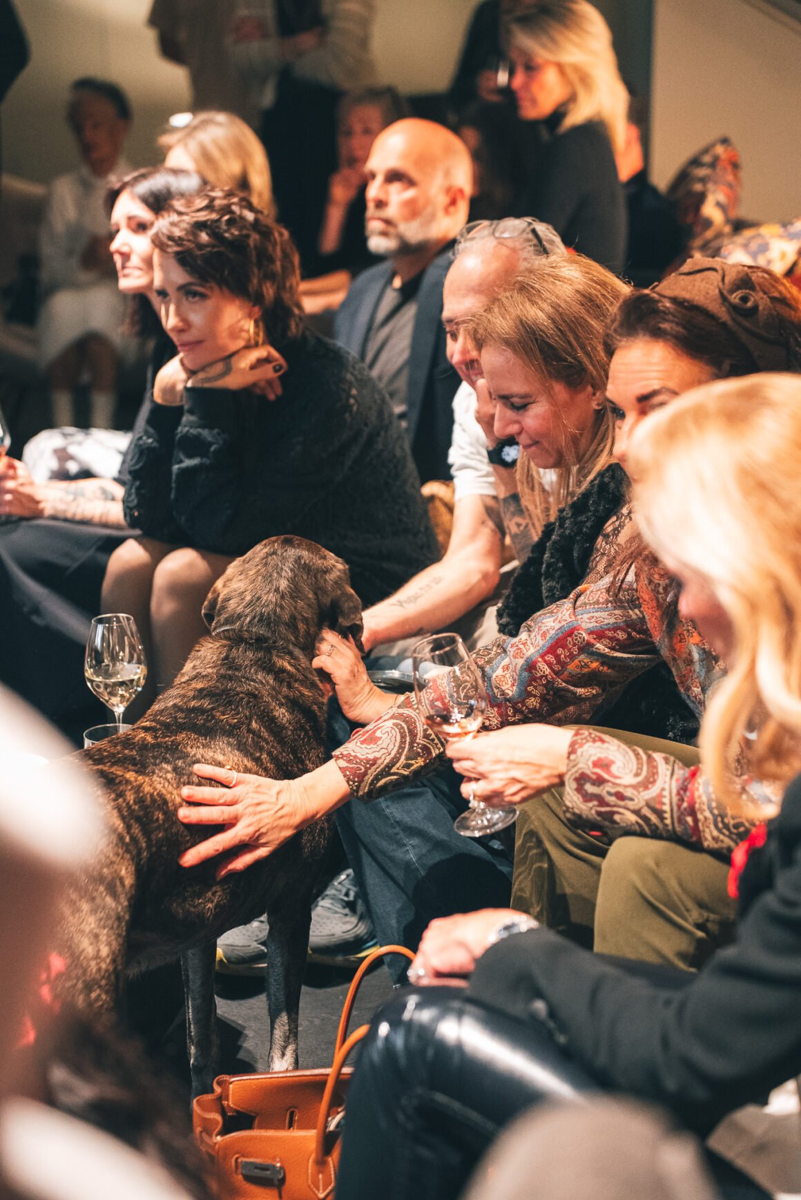 Gäste und Anna Ritzinger (Vegan Bullerbyn e.V.) streicheln einen Hund im Publikum beim Giulia & Romeo Event in München.