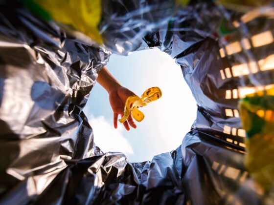 Hand wirft Bananenschale in Mülltonne - Symbolbild für Lebensmittelverschwendung in Deutschland und die Mission von SIRPLUS nach dem Motatos-Rückzug
