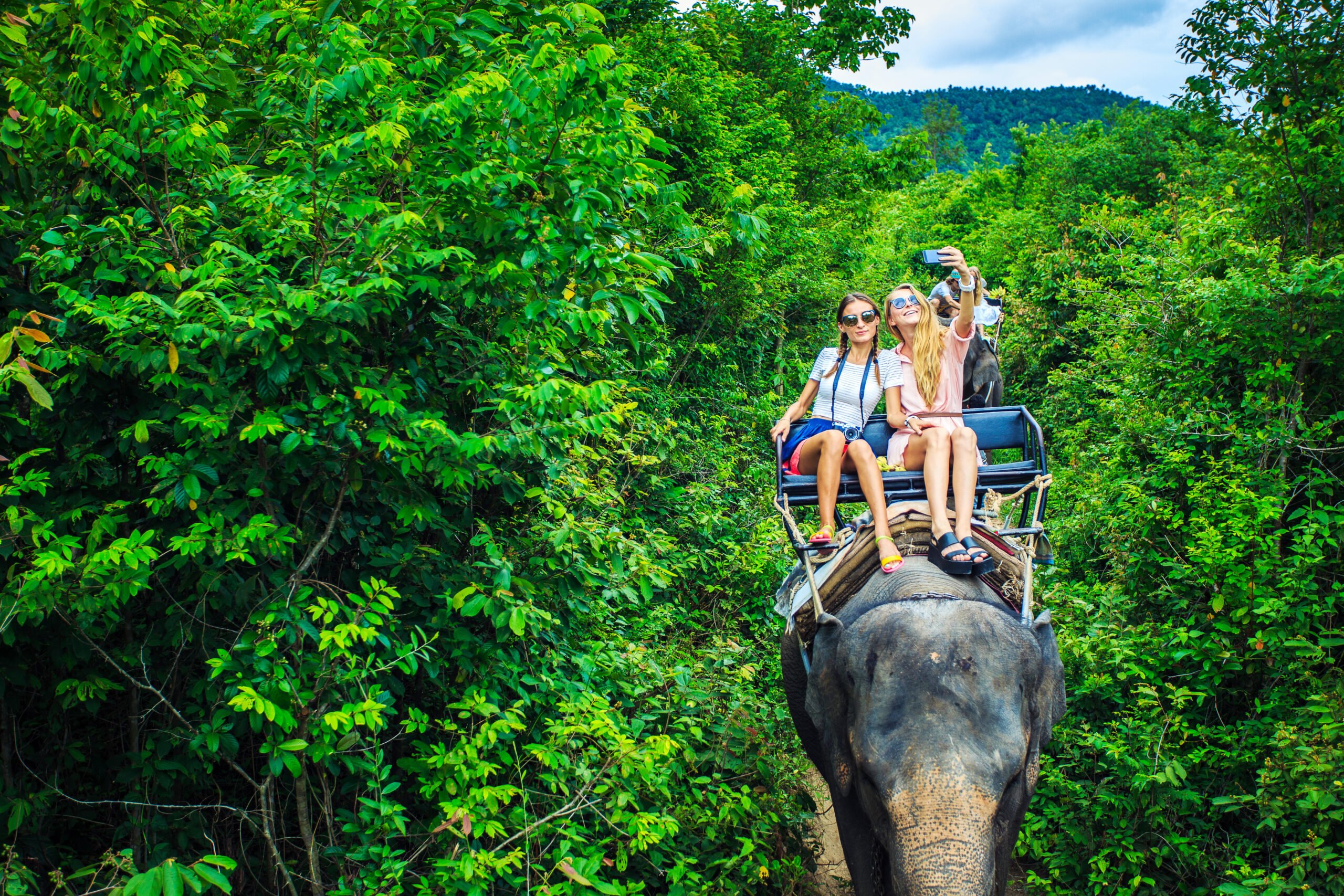 Zwei Touristinnen machen ein Selfie auf dem Rücken eines Elefanten in Indonesien, eine Praxis die seit Dezember 2025 verboten ist