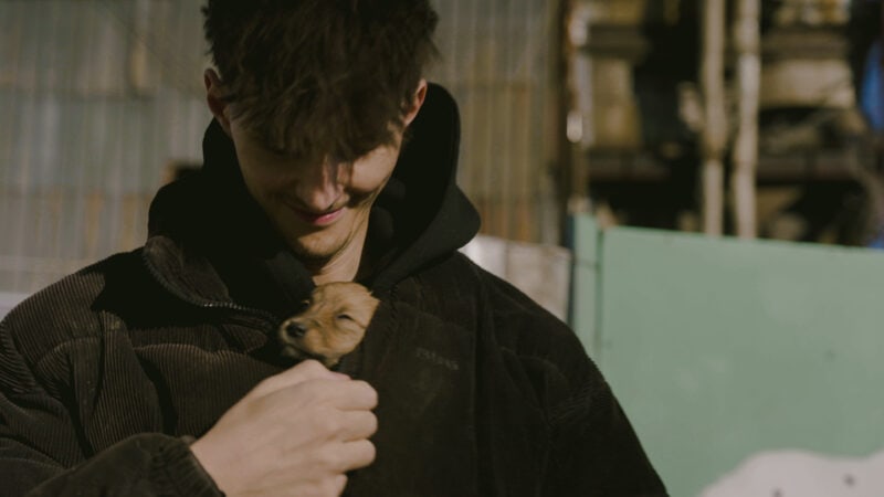 Nathan Goldblat hält geretteten Welpen aus rumänischer Hundetötungsstation während der Dreharbeiten zur ProSieben-Doku Die Hunde-Mafia