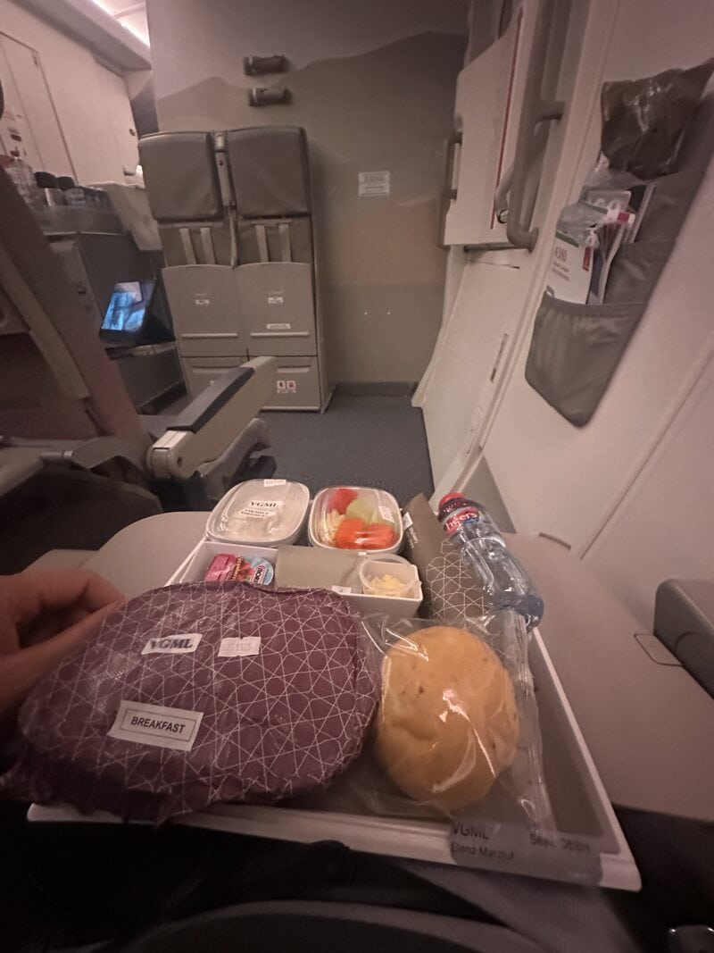 VGNML Vegan fliegen3