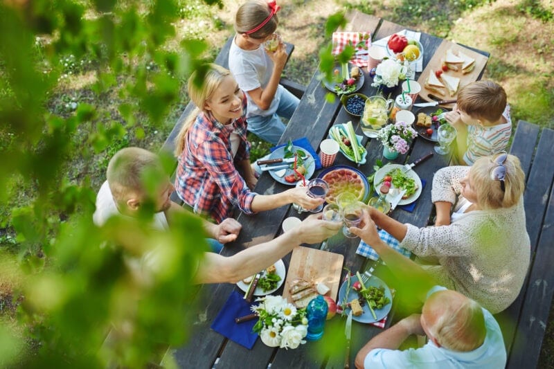 Veganes Picknick im Gruenen