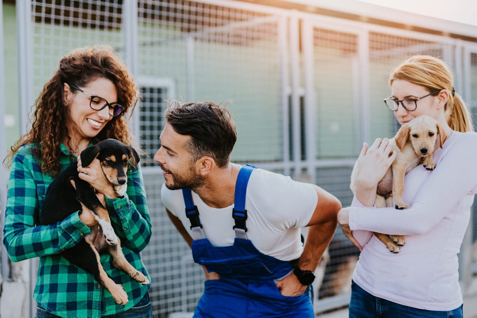 Tierschutzmitarbeiter hilft zwei jungen Frauen bei der Adoption von zwei Hunden aus dem Tierheim