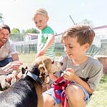 Hund aus dem Tierheim adoptieren 2026: Der ehrliche Guide für deinen ersten Tag bis zur Eingewöhnung Familie mit zwei Kindern beim Kennenlernen eines Hundes im Tierheim, alle lachen in der Sonne