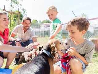 Familie mit zwei Kindern beim Kennenlernen eines Hundes im Tierheim, alle lachen in der Sonne