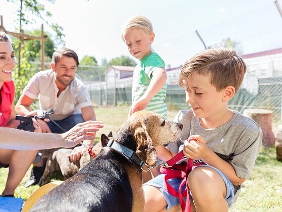 Familie mit zwei Kindern beim Kennenlernen eines Hundes im Tierheim, alle lachen in der Sonne
