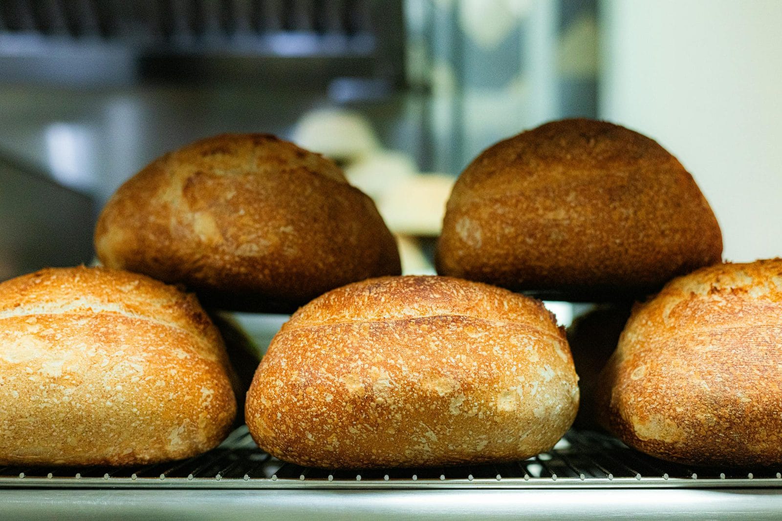Großaufnahme einer Brot-Krume mit charakteristischen Sauerteig-Poren