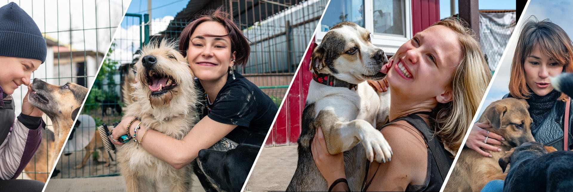 Collage aus vier Bildern: junge Frauen umarmen lachend ihre frisch adoptierten Tierheim-Hunde