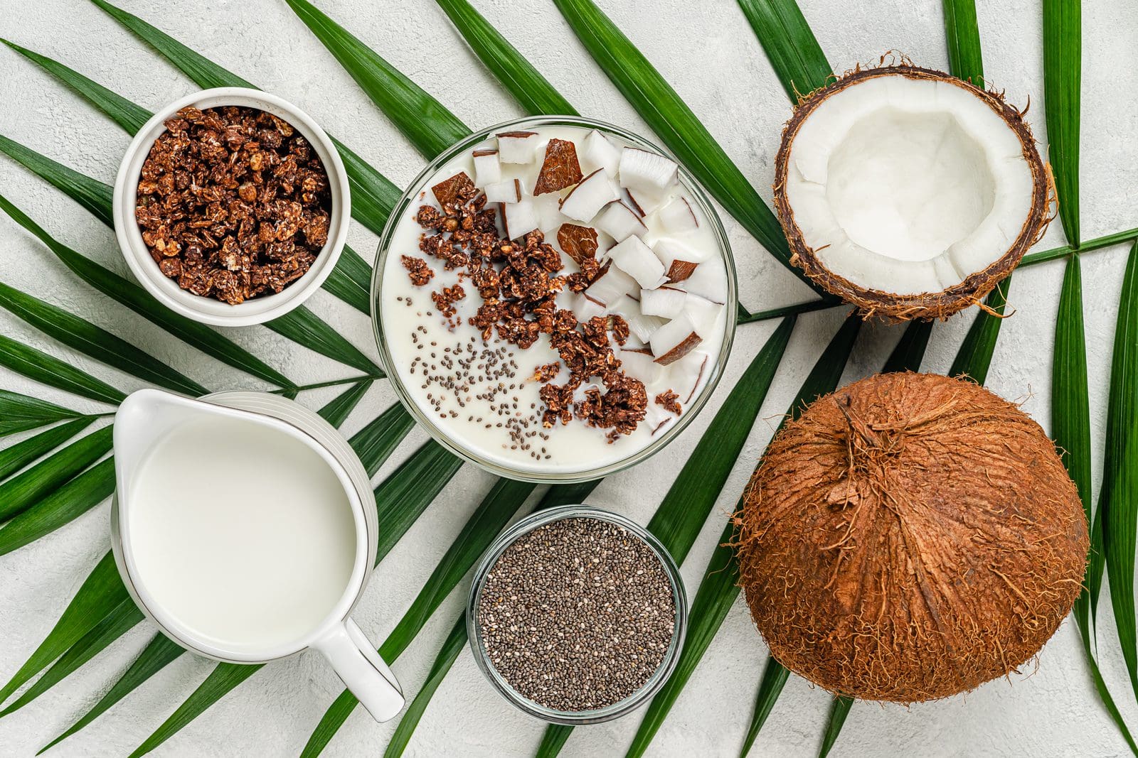 Vegane Granola Bowl mit Kokosjoghurt und Chia-Samen, plant-based Joghurt-Alternative