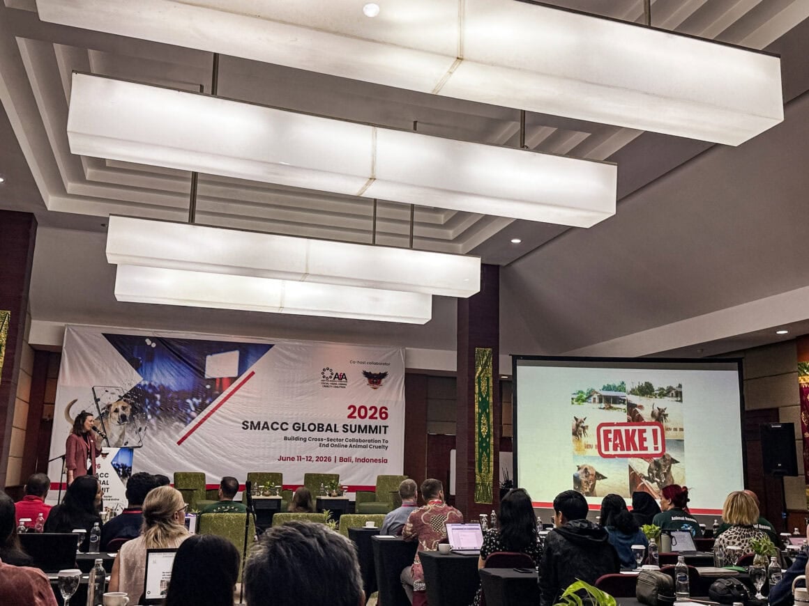 Bühne des SMACC Global Summit 2026 in Bali mit Banner gegen Tierquälerei auf Social Media