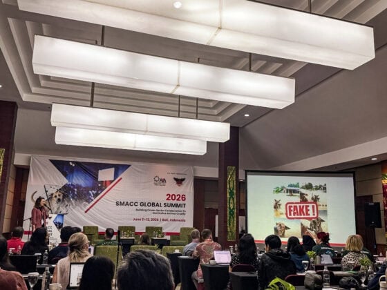 Bühne des SMACC Global Summit 2026 in Bali mit Banner gegen Tierquälerei auf Social Media