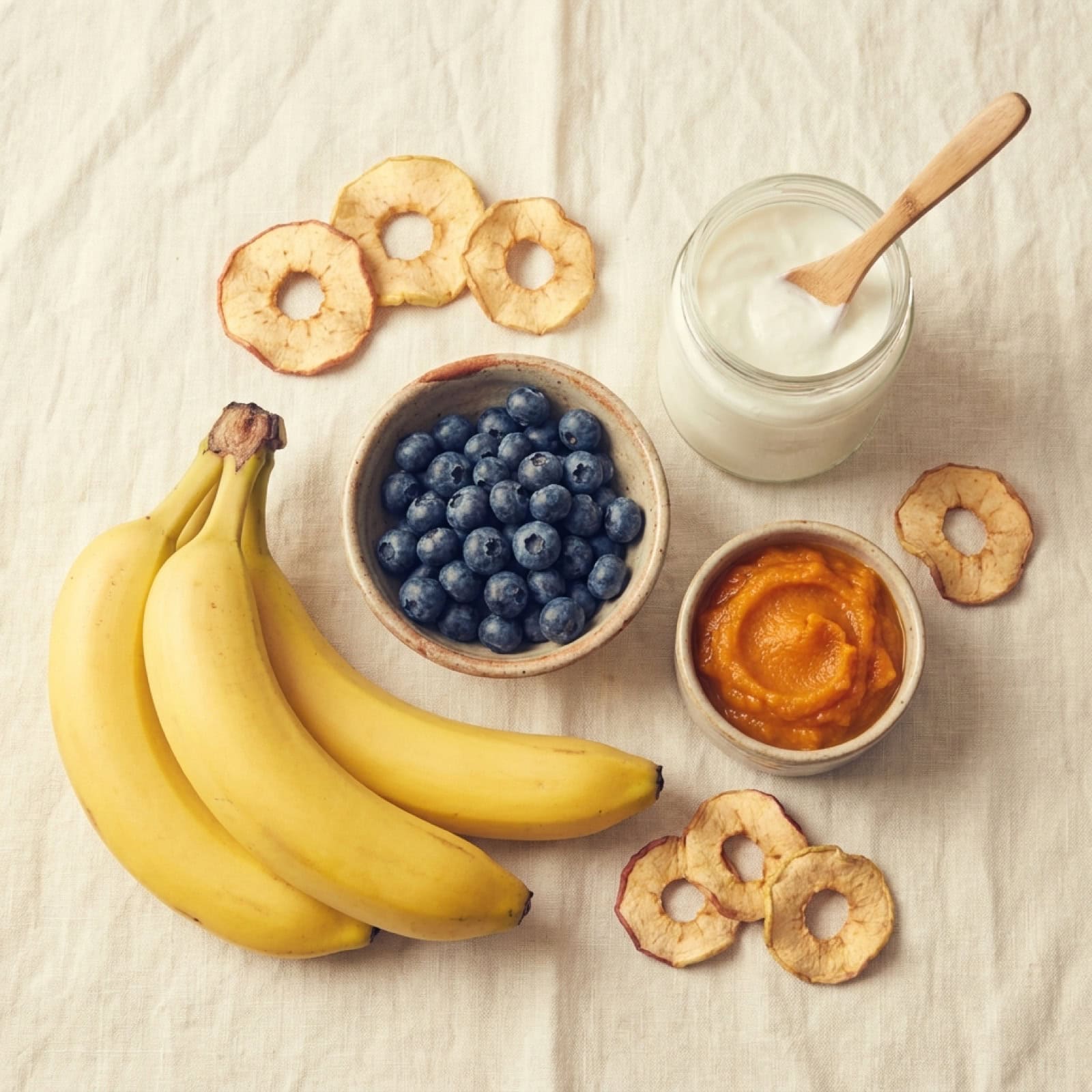 Hundesichere Zutaten für veganes Hundeeis: Banane, Heidelbeeren, Kürbis und Kokosjoghurt von oben