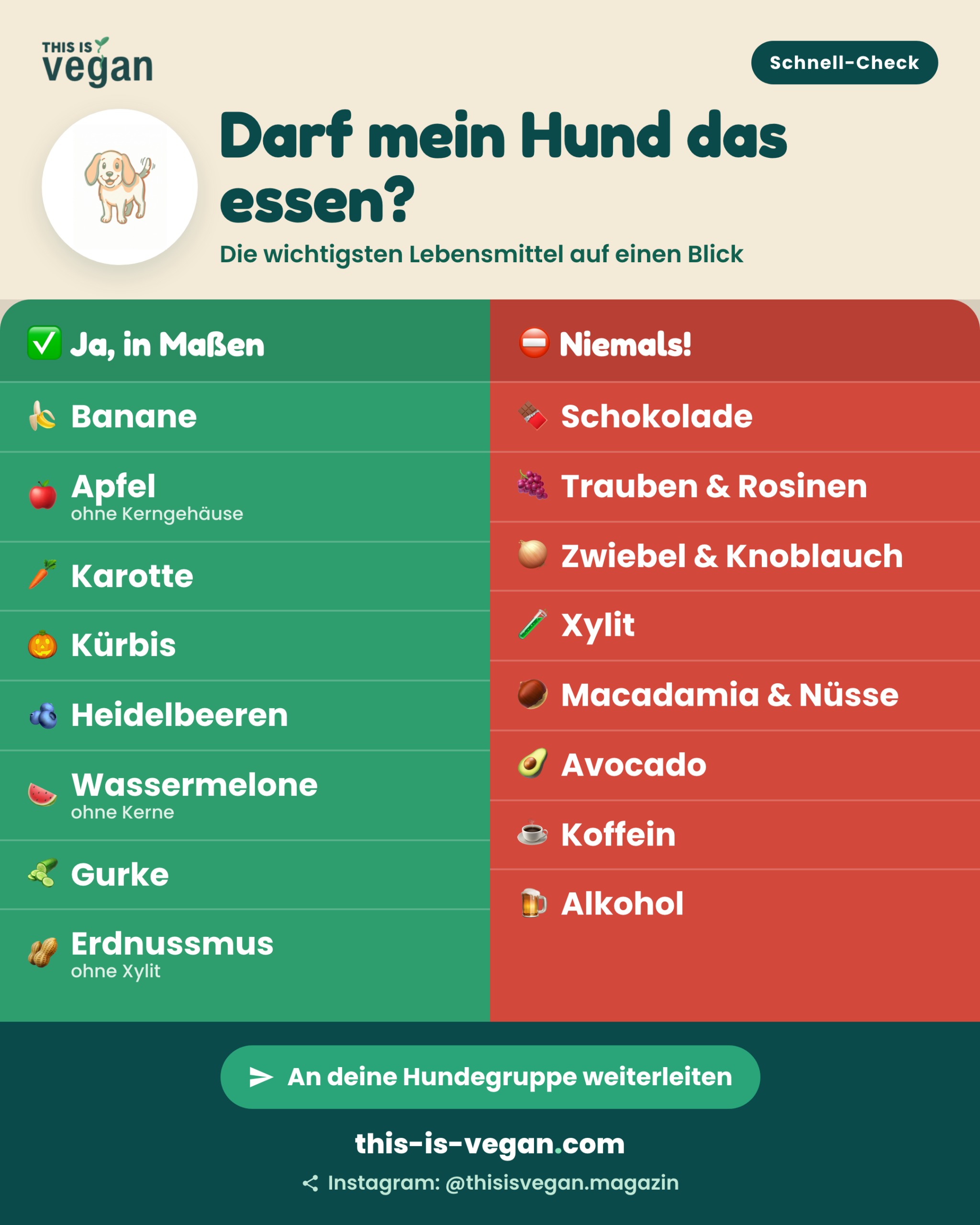 Infografik: Darf mein Hund das essen? Sichere Lebensmittel grün, giftige Lebensmittel rot, mit This-Is-Vegan-Logo