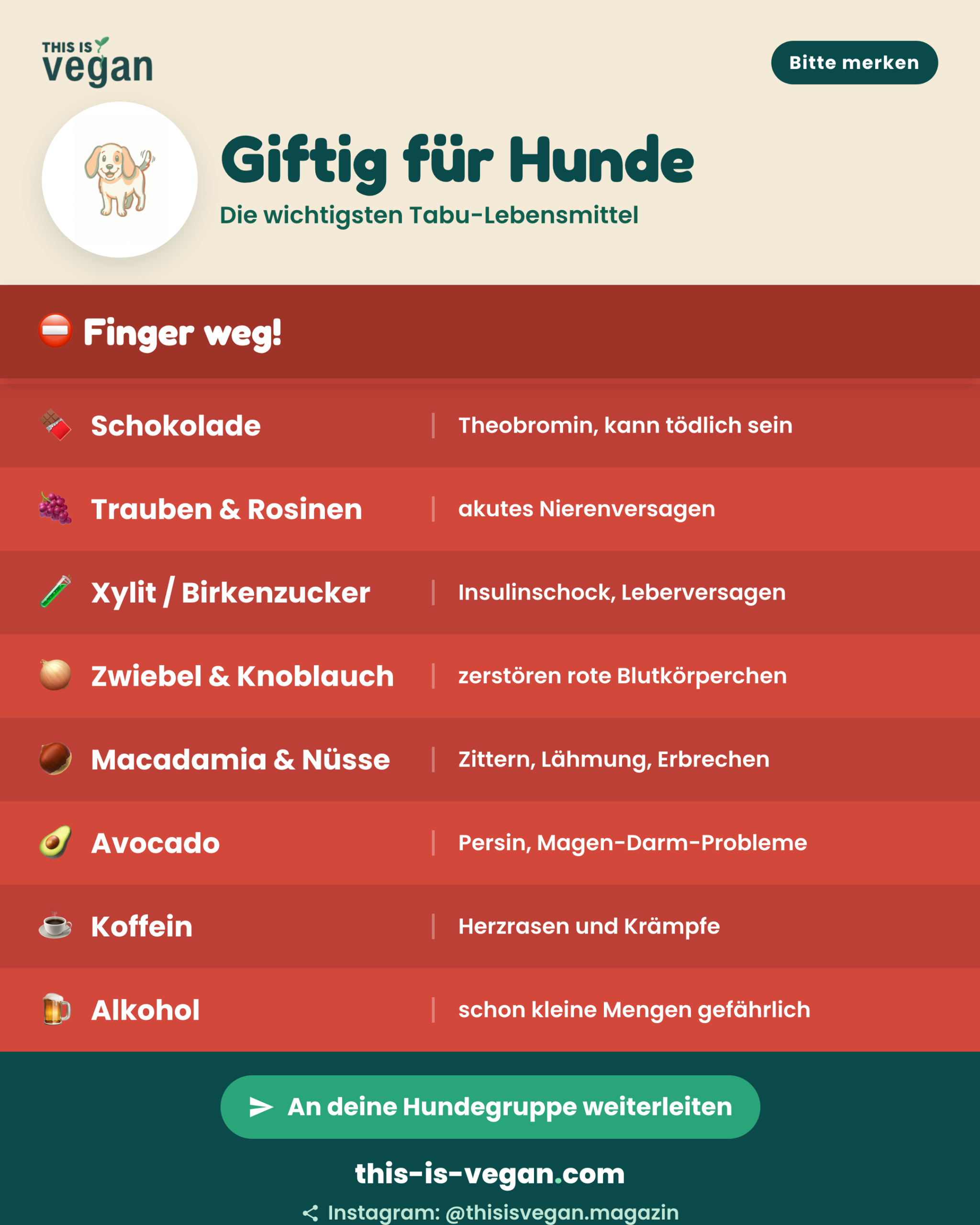 Infografik: Die 10 giftigsten Lebensmittel für Hunde mit Begründung und This-Is-Vegan-Logo