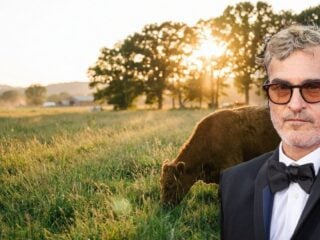 Joaquin Phoenix at a farm sanctuary meadow