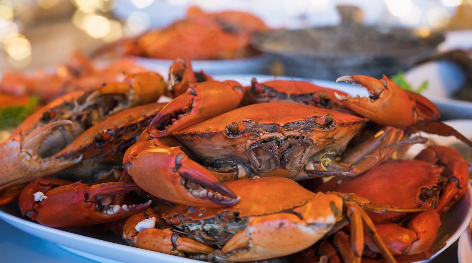A stack of crabs, the usual source of glucosamine