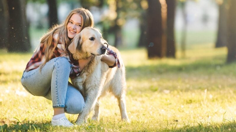 Person umarmt liebevoll ihren Hund auf einer Wiese