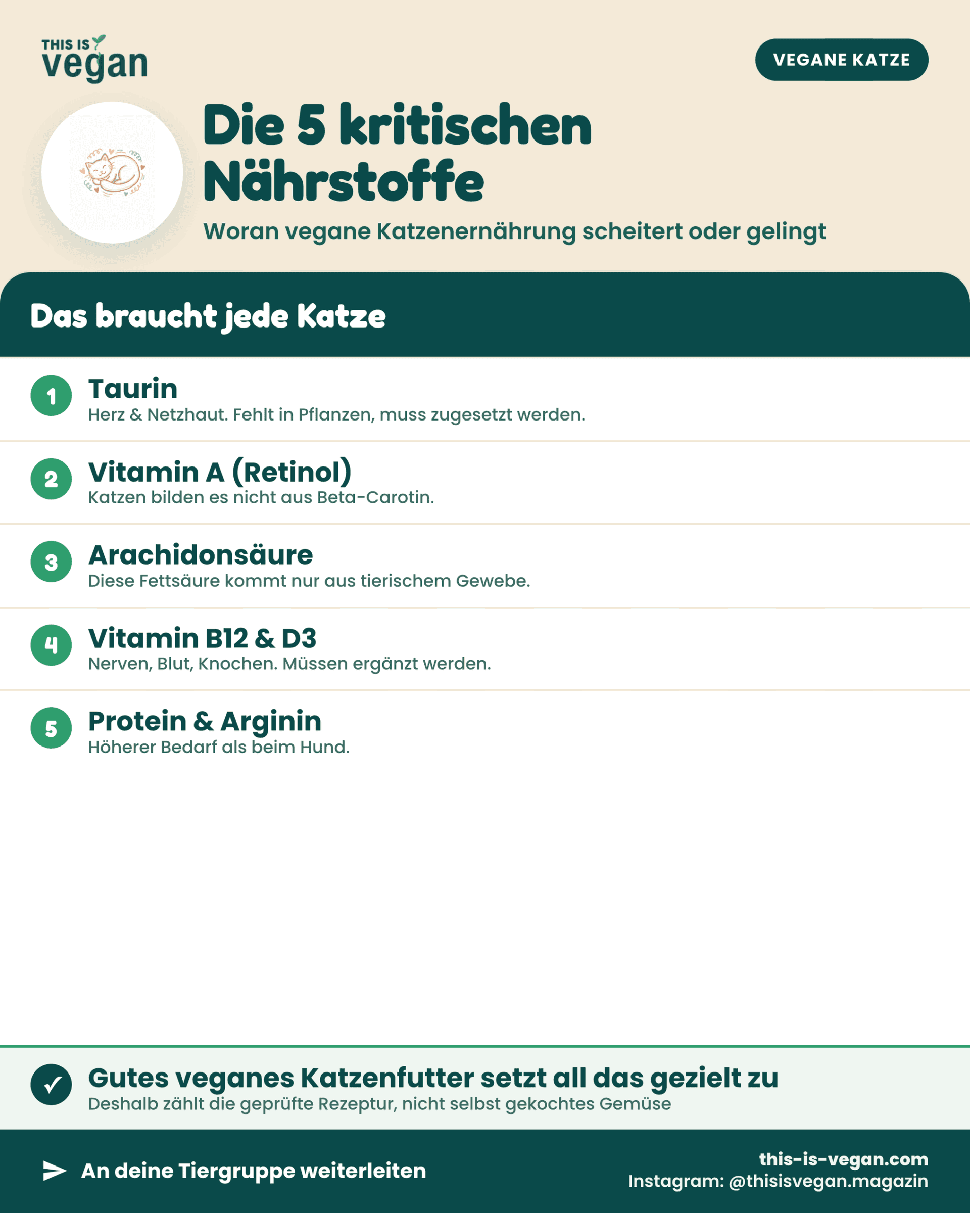 Infografik: die fünf kritischen Nährstoffe bei veganer Katzenernährung mit This-Is-Vegan-Logo