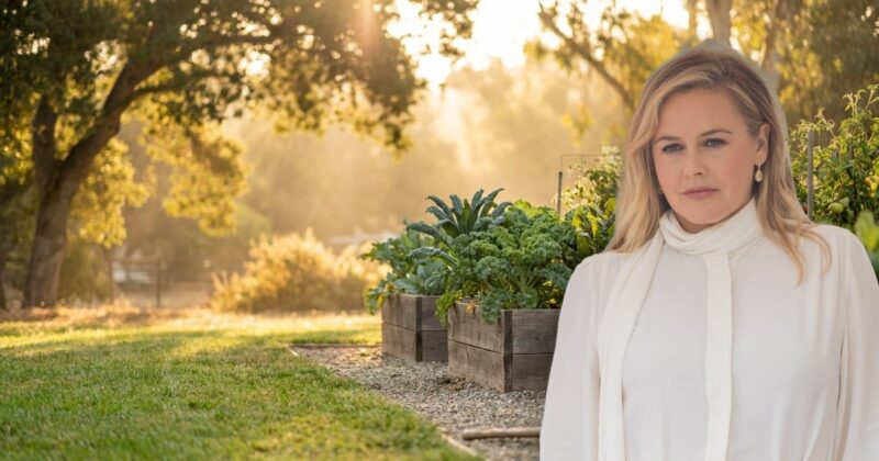 Alicia Silverstone vegan check banner