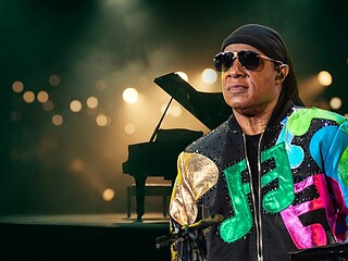 Stevie Wonder vegan check banner