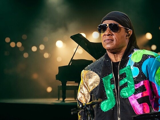 Stevie Wonder vegan check banner
