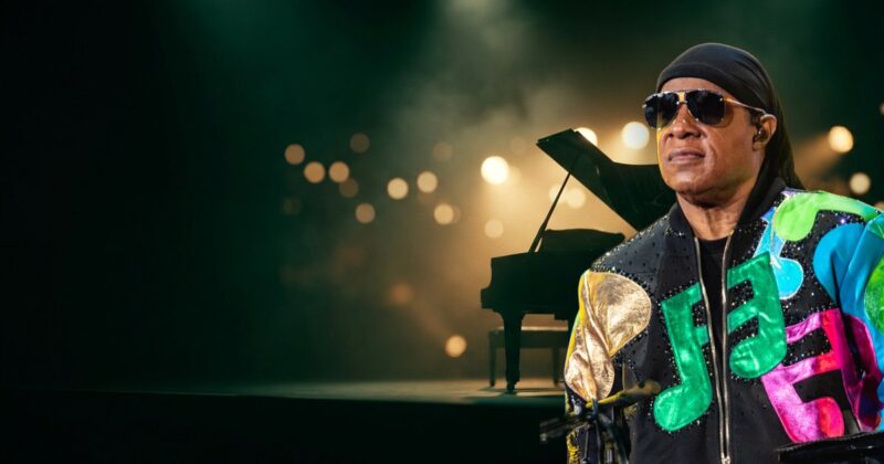 Stevie Wonder vegan check banner