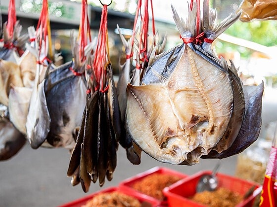 Getrocknete Fische hängen dicht an dicht in einem Geschäft für Meeresprodukte