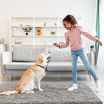 Vegane Hundeleckerlies selber machen: 4 einfache Rezepte Hund bekommt ein selbst gemachtes Leckerli als Belohnung
