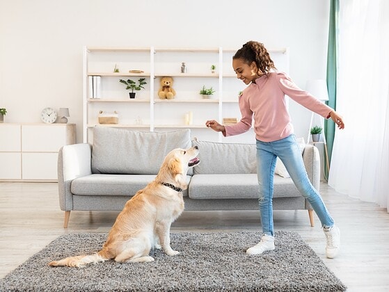 Hund bekommt ein selbst gemachtes Leckerli als Belohnung