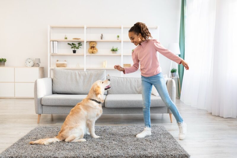Hund bekommt ein selbst gemachtes Leckerli als Belohnung