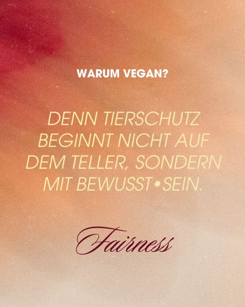 Veganity Fair: Foto vom Event (2)