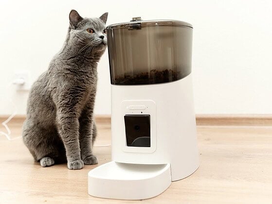 Graue Katze sitzt neben einem weissen automatischen Futterautomaten, der Vorratsbehaelter ist gefuellt, der Napf leer
