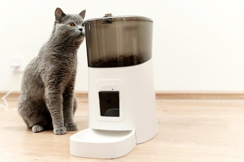 Graue Katze sitzt neben einem weissen automatischen Futterautomaten, der Vorratsbehaelter ist gefuellt, der Napf leer