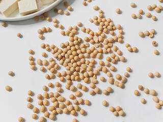 Calcium-Tofu in Würfeln, Sojabohnen und Sojadrink als pflanzliche Calciumquellen