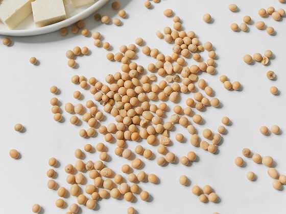 Calcium-Tofu in Würfeln, Sojabohnen und Sojadrink als pflanzliche Calciumquellen