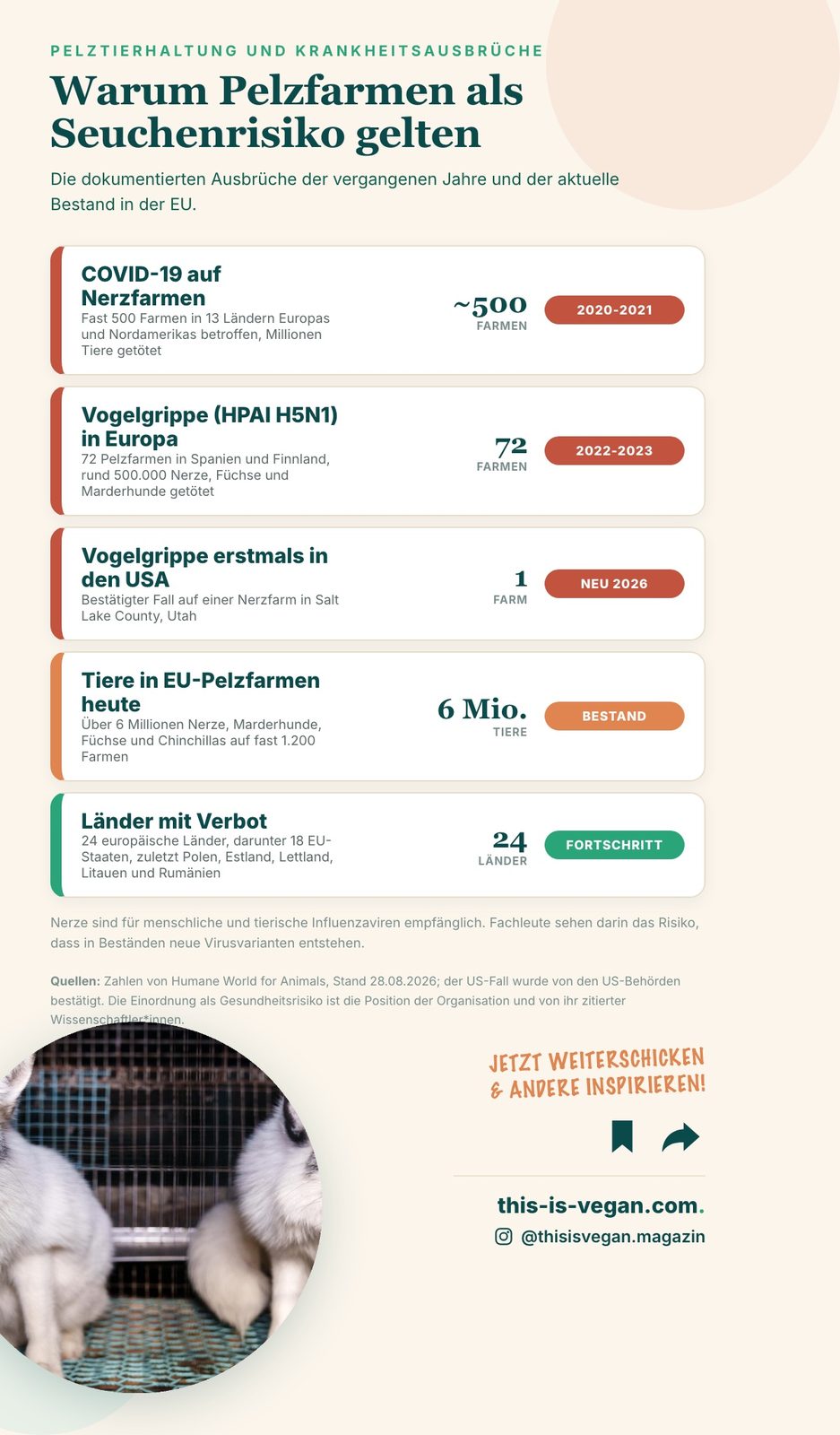 Infografik: 500 COVID-Ausbrüche, 72 Vogelgrippe-Farmen in Europa und erstmals ein US-Fall