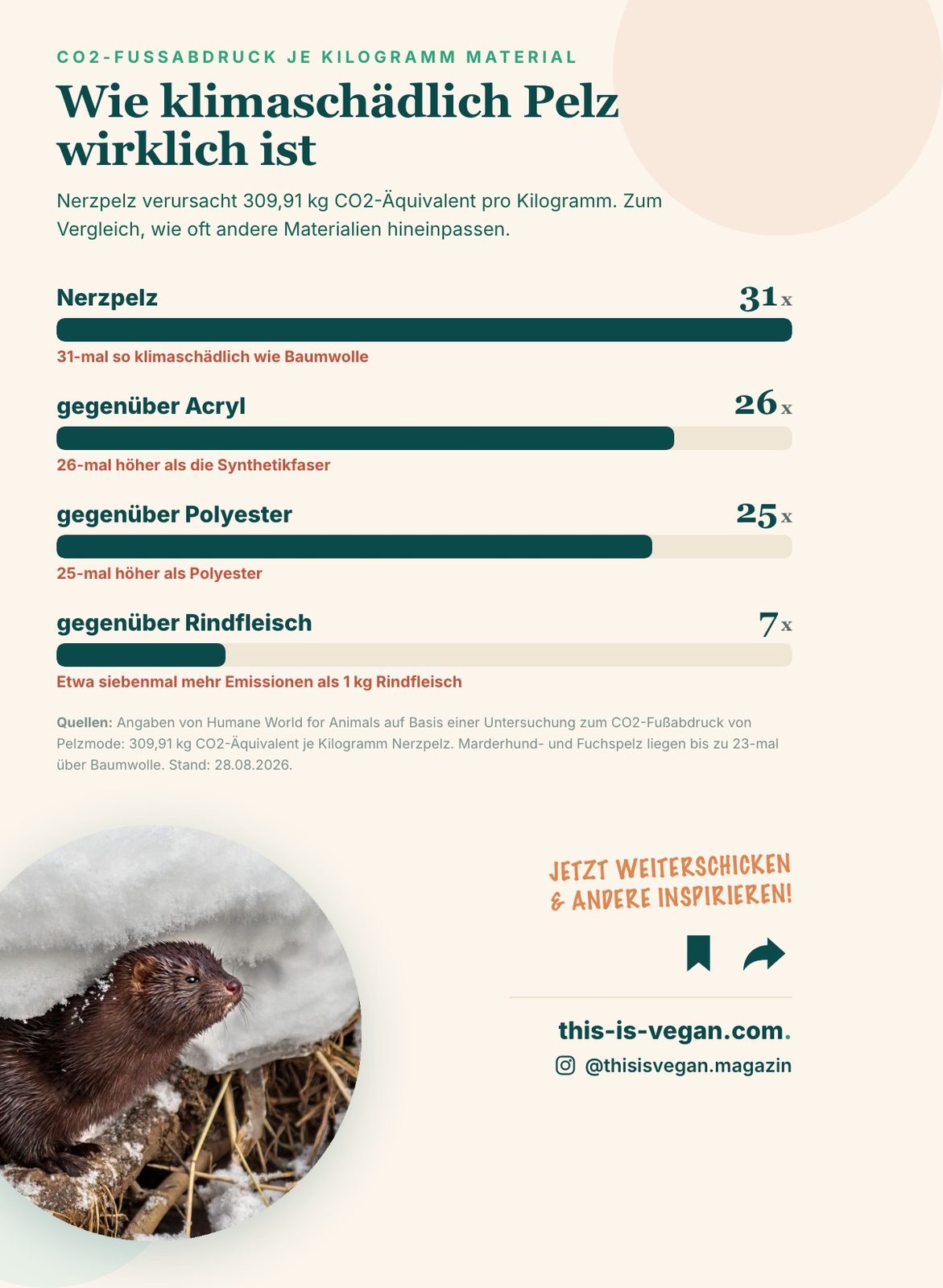 Infografik: Nerzpelz verursacht 31-mal mehr CO2 als Baumwolle und siebenmal mehr als Rindfleisch
