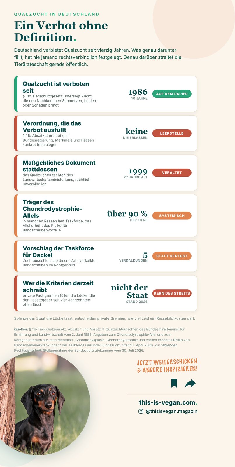 Infografik zur Gesetzeslücke bei Qualzucht in Deutschland mit sechs Kennzahlen