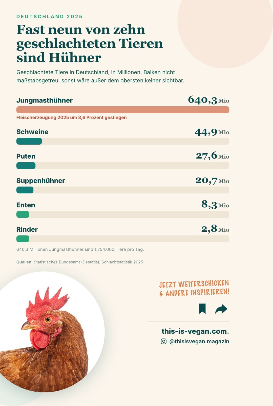 Infografik mit den Schlachtzahlen in Deutschland 2025 nach Tierart, Jungmasthühner mit 640,3 Millionen an der Spitze